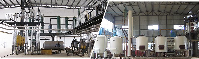 solvent extraction of palm kernel oil 