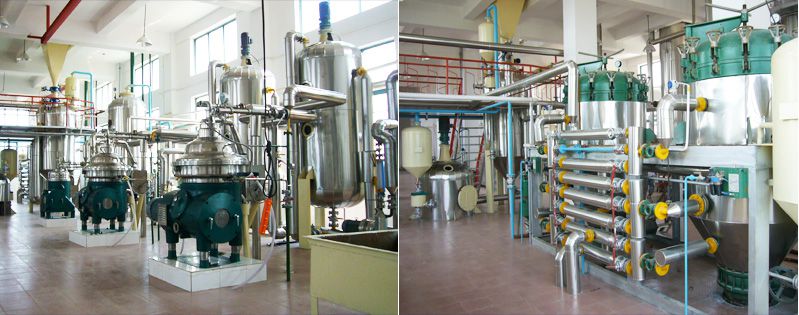 palm kernel oil refining process