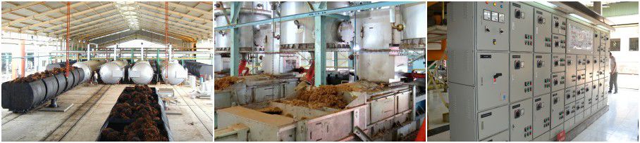 palm oil screw pressing plant