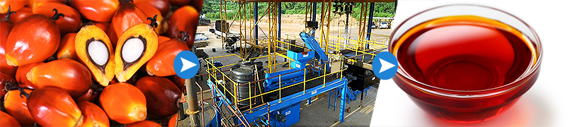 buy factory proice palm oil mill machines