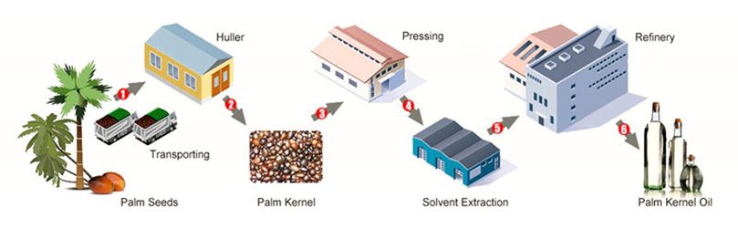 complete palm kernel oil produciton line