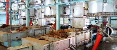 Palm Oil Pressing Plant