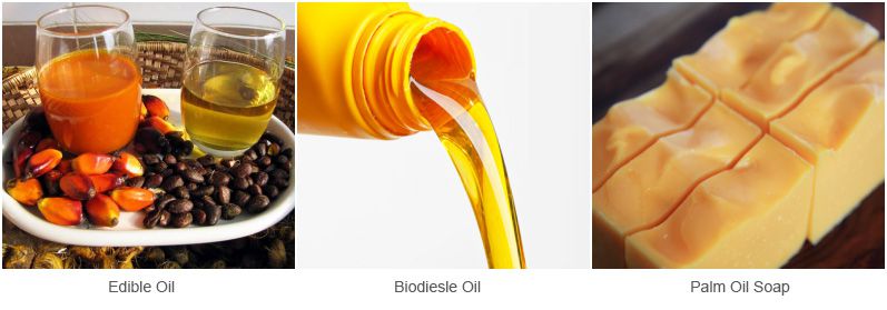 edible oil, biodiesel oil and palm oil soap