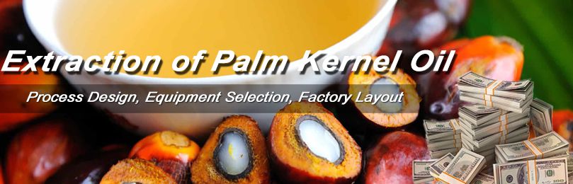 extraction-of-palm-kernel-oil