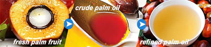 from palm fruit to refined palm oil
