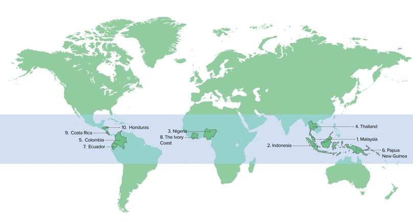 Geographic Distribuiton And Ranking of Global Palm Oil Producing Nations