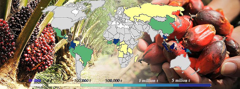 global palm production map