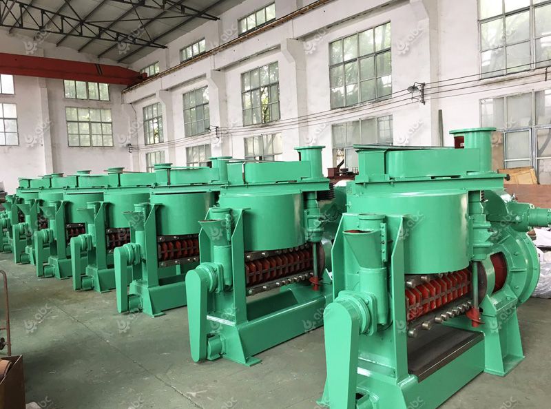 large palm kernel oil press machine