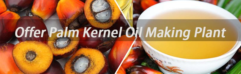 Making Palm Kernel Oil Low Cost