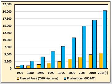 malaysia palm oil industry