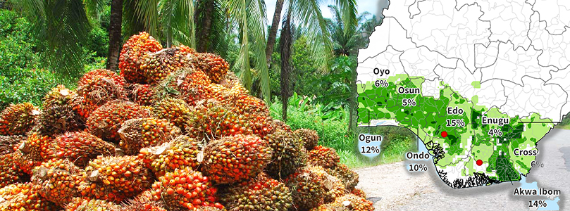 oil palm trees plantation map in nigeria