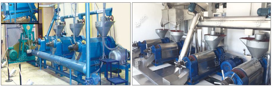 palm kernel oil expeller machine for sales