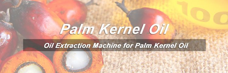 palm kernel oil