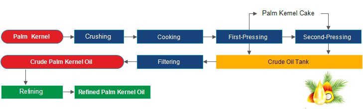 palm kernel oil extraction process