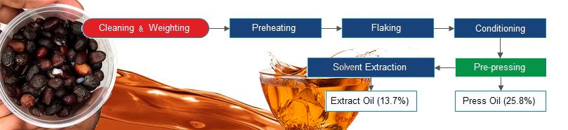 Palm Kernel Oil Milling Process