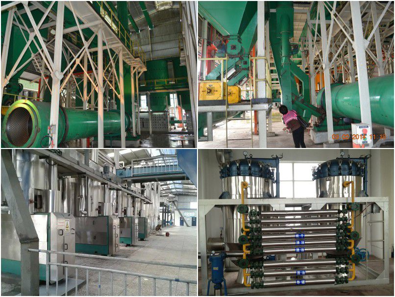 palm kernel oil pressiung machine for manufacturing industrial scale red palm oil