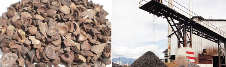 palm kernel shells to generate electricity