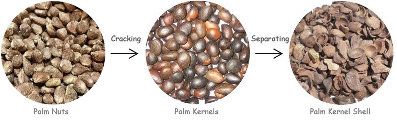 palm nut cracking and palm kernel separating