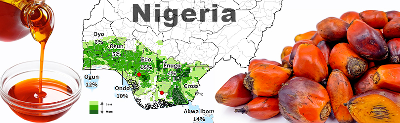 Tailored Palm Oil Production Solutions for Nigeria