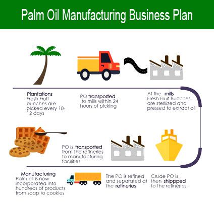 palm oil manufacturing business plan