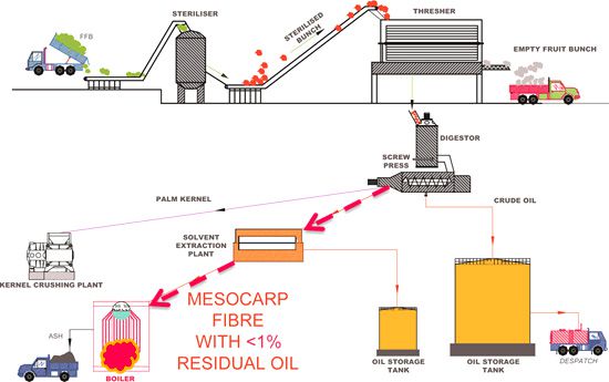 large palm oil processing plant design