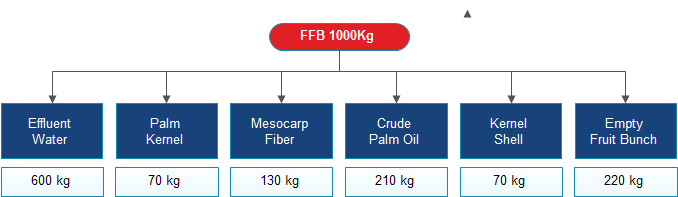 palm oil pressing