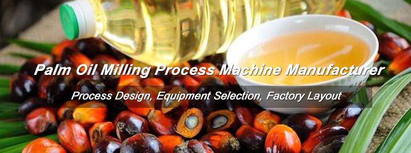 Palm Oil Processing Equipment Manufacturer