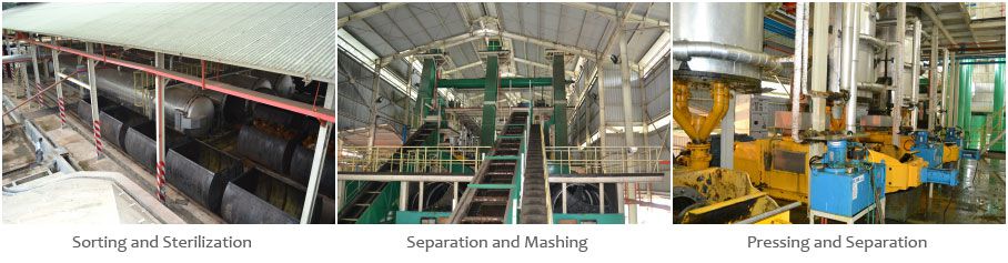 palm oil processing line for making edible red palm oil