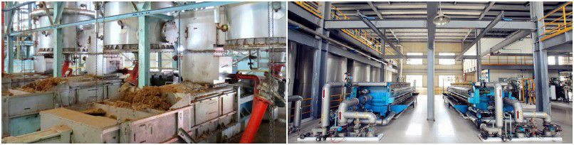 palm oil production equipment cost