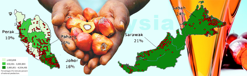 Palm Oil Milling Market Conditions in Malaysia