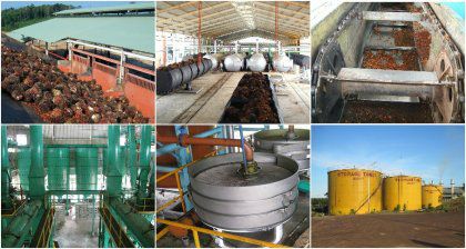 Popular and Well-known Palm-oil Equipment Supplier and Popular Oil-palm Equipment