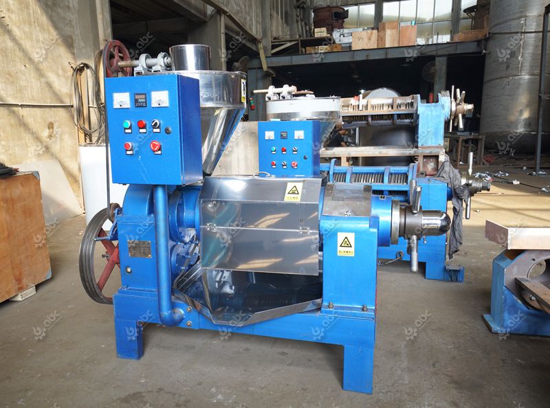 small palm kernel expeller machine at factory price