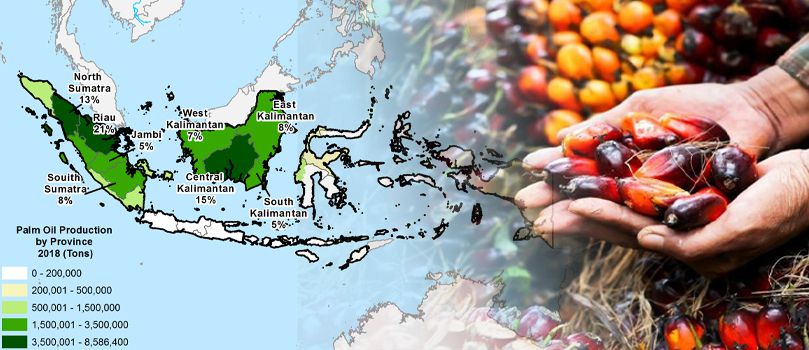 starting palm oil production buisness