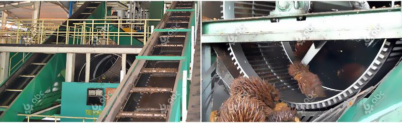 thresher drum palm oil mill