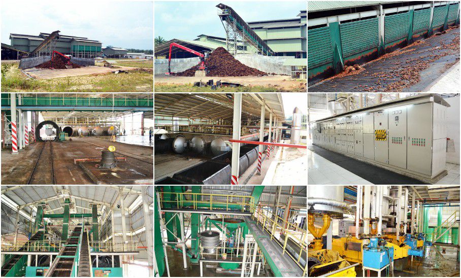 turnkey palm oil mill projects