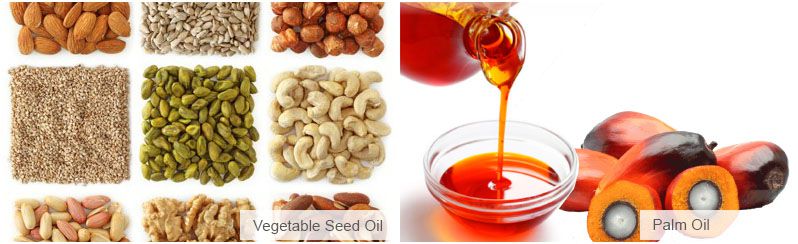 vegetable oil vs palm oil production