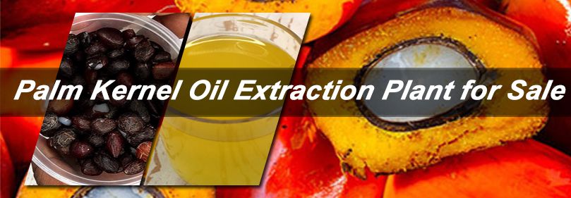what is palm kernel oil