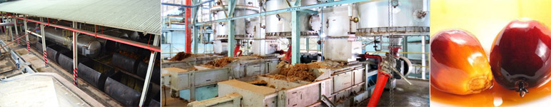 palm oil processing unit of industrial scale factory or company