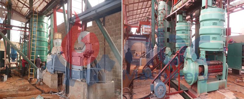 low cost palm kernel oil pressing equipment 