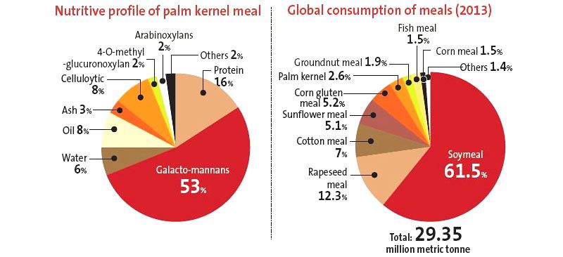 palm kernel meal production
