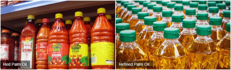 Palm oil market in Brazil