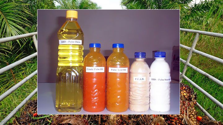 RBD Palm Oil Production