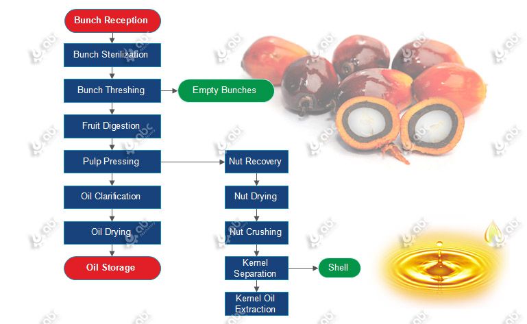 Small Scale Palm Oil Processing Mill Production Process