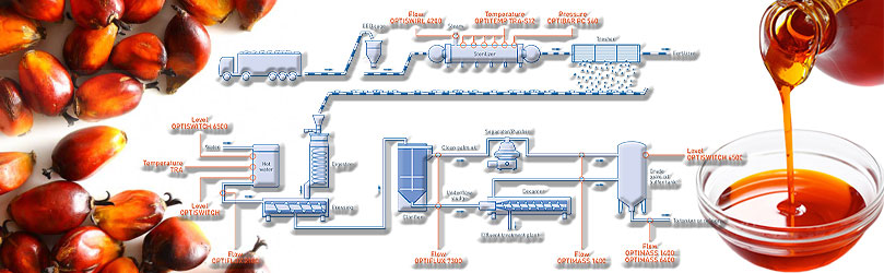 Unveiling Palm Oil Production Process Steps