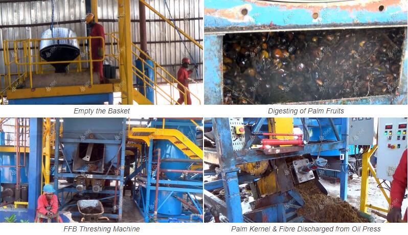 complete palm fuit processing machine for sale