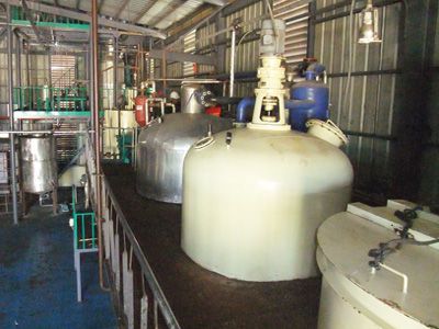 palm kernel oil physical refiining line