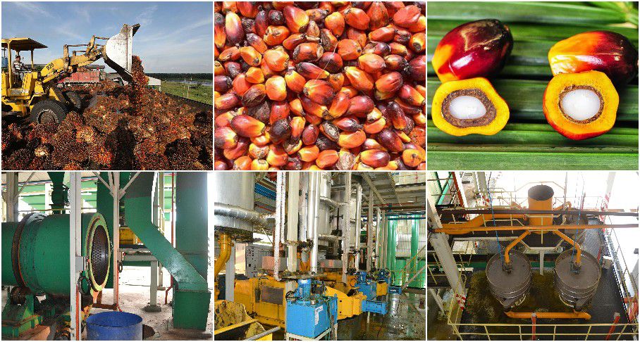  palm oil milling machinery supplier at low cost 