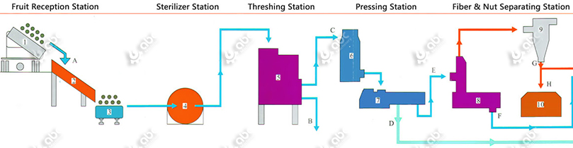 customized palm oil production process