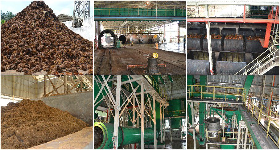 palm oil extractor process in palm oil mill plant