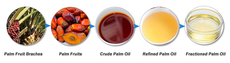 processing palm fruit into palm oil